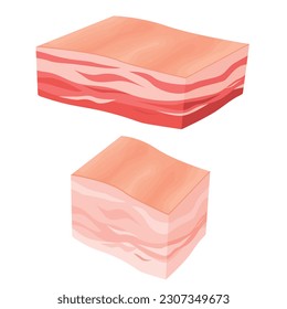 Vector cartoon image of meat products. The concept of farm fresh meat, smoked sausages, etc. Cooking and selling elements for your design.