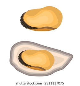Vector cartoon image of a mussel. The concept of restaurant dishes and seafood. A juicy and bright element for your design.