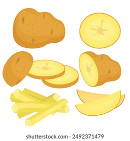 Vector cartoon image of a potato. Food and cooking concept. Root crop grown in the field. Element for your design