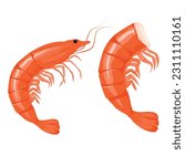 Vector cartoon image of a shrimp. The concept of restaurant dishes and seafood. A juicy and bright element for your design.