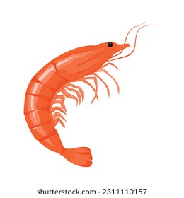 Vector cartoon image of a shrimp. The concept of restaurant dishes and seafood. A juicy and bright element for your design.