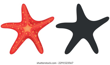Imagen vectorial de una estrella de mar. El concepto de ocio, viajes y playa Elementos coloridos para el diseño.