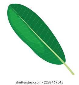 Vector cartoon image of tropical leaves. The concept of summer and a trip. A botanical element for your design.