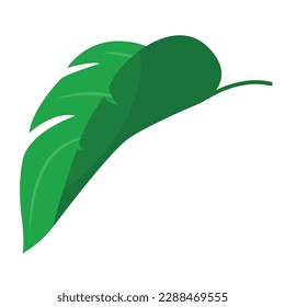 Vektorgrafik von tropischen Blättern. Das Konzept des Sommers und eine Reise. Ein botanisches Element für Ihr Design.