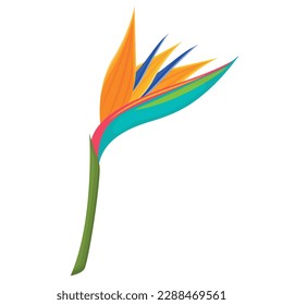 Vector cartoon image of tropical leaves. The concept of summer and a trip. A botanical element for your design.