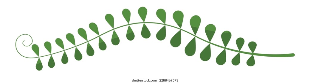 Vektorgrafik von tropischen Blättern. Das Konzept des Sommers und eine Reise. Ein botanisches Element für Ihr Design.