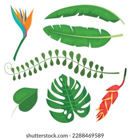 Vector cartoon image of tropical leaves. The concept of summer and a trip. A botanical element for your design.