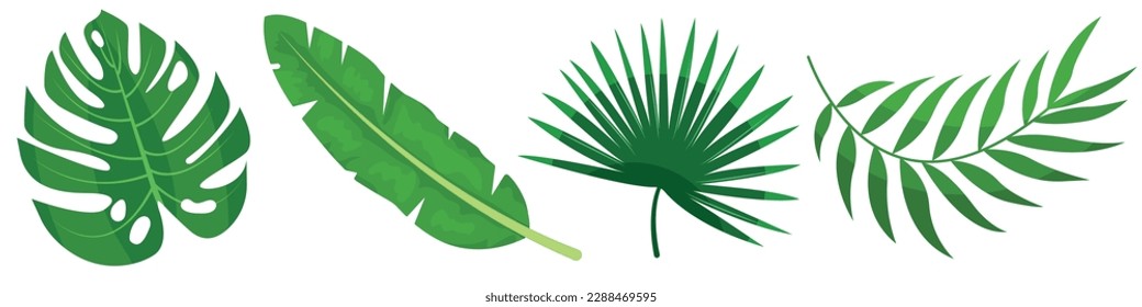 Imagen vectorial de hojas tropicales. El concepto de verano y de viaje Un elemento botánico para tu diseño.