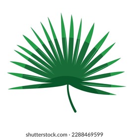 Imagen vectorial de hojas tropicales. El concepto de verano y de viaje Un elemento botánico para tu diseño.