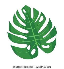 Imagen vectorial de hojas tropicales. El concepto de verano y de viaje Un elemento botánico para tu diseño.