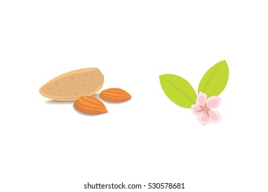 Vector cartoon isolated almonds. heslthy nuts, vegeterian food