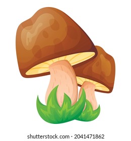Vector cartoon isolated illustration of a bunch of two cartoon forest porcini mushrooms in the grass.