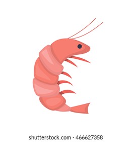 Vector cartoon isolated shrimp icon
