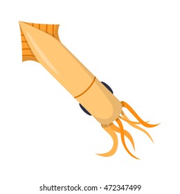 Vector cartoon isolated squid