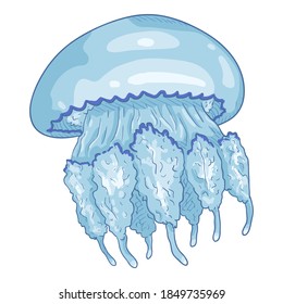 Vector Cartoon Jellyfish on White Background