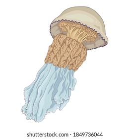 Vector Cartoon Jellyfish on White Background