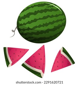 Vector cartoon juicy watermelon fruit, fresh cartoon watermelon on white background