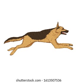 Vector Cartoon Jumping German Shepherd Dog Illustration