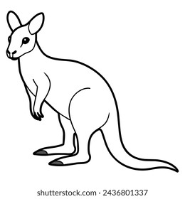 Vector of cartoon kangaroo illustration on white
