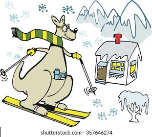 Vector cartoon of kangaroo wearing scarf, skiing on mountain slope. 
