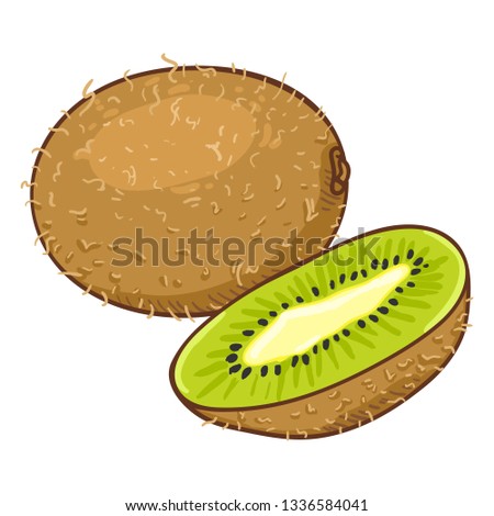 Vector Cartoon Kiwi Fruit. Whole and Cut.
