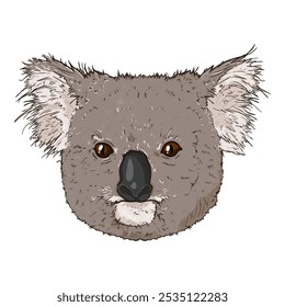 Ilustración de cabeza de koalas de dibujos animados de Vector. Vista frontal del retrato de koala