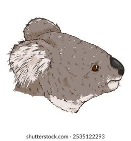 Ilustración de cabeza de koalas de dibujos animados de Vector. Vista lateral del retrato de koala