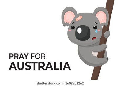Vector cartoon koalas on a tree are sad and needing help from an Australian fires with the message "Pray for Australia".