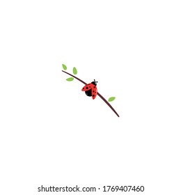 Vector cartoon ladybug. Ladybug insects on the branches.

