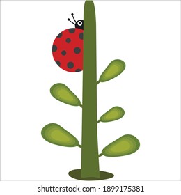 Vector cartoon ladybug and plant icon isolated on white background. Simple modern flat illustration. Rainbow colors. Learning for children.