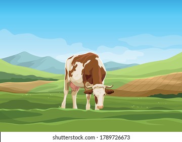 Vector cartoon landscape with cow on green pasture with blue sky and meadows in the background