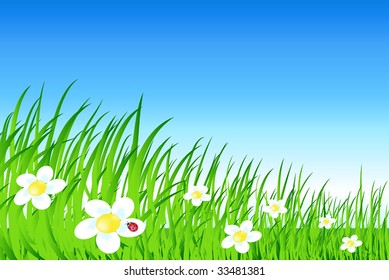 vector cartoon landscape with grass flowers and sky
