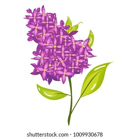 Vector cartoon lilac spring flower illustration