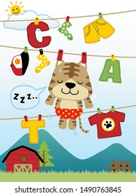 vector cartoon of little cat on clothesline with clothing and alphabet on mountain background