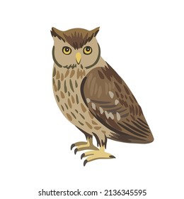 Vector cartoon little owl isolated on white background. 