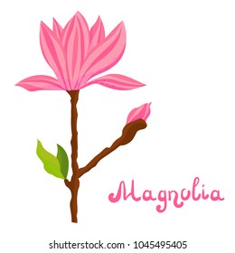 Vector cartoon magnolia spring flower illustration