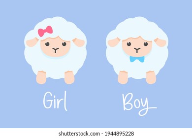 Vector cartoon male and female sheep decorated with bows Cute lambs for skis on baby clothes.