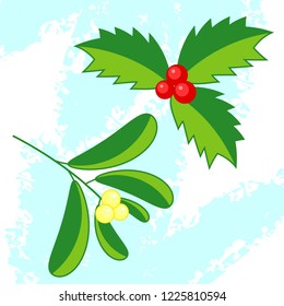 Vector cartoon mistletoe branches with green leaves and red and light yellow berries. Traditional Christmas decoration elements.