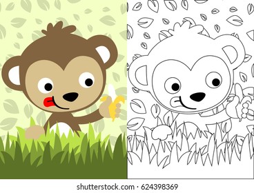 vector cartoon of monkey holding banana on leaves background, coloring book or page