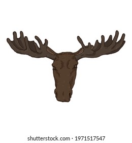 Vector Cartoon Moose Head Illustration. Front View.