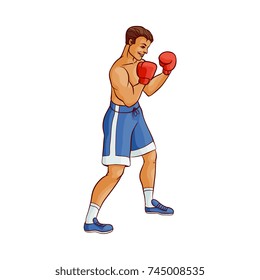 vector cartoon muscular strong handsome man bare torso and chest in boxing stand with red box gloves ready to fight in blue shorts. Isolated illustration on a white background.