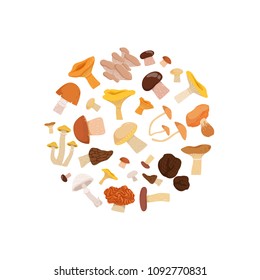 Vector cartoon mushrooms in circle illustration