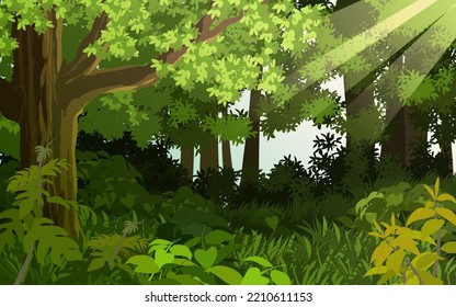 Vektorgrafik Naturgrafik von Wald mit Sonnenlicht