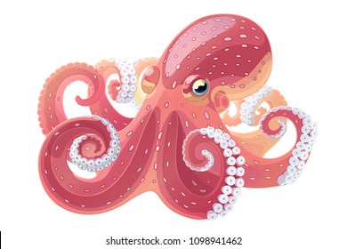 vector cartoon octopus. Aquatic water underwater animal. Hand drawn sketch. Wildlife sea ocean life. Aquarium exotic element. Nature pattern. Maritime, marine illustration isolated on white backgroud