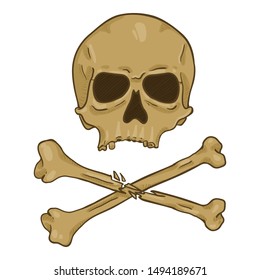 Vector Cartoon Old Brown Skull with Cross Bones