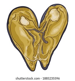 Vector Cartoon Open Mussel Illustration