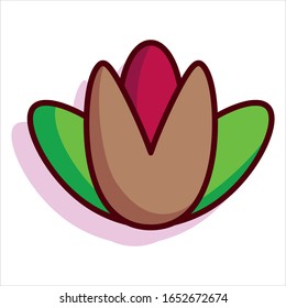 Vector Cartoon Open Pistachio with Seed Isolated