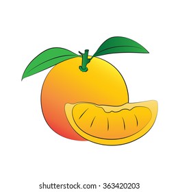 Vector cartoon orange on white background.
