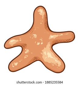 Vectorcartoon Orange Starfish Illustration