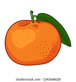 Vector Cartoon Orange Tangerine With Green Leaf